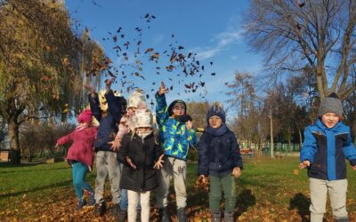 🍂🌞Ostatnie promienie listopadowego słońca🌞🍂