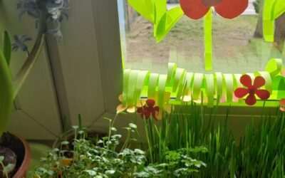 Pięknie, zdrowo, kolorowo ….