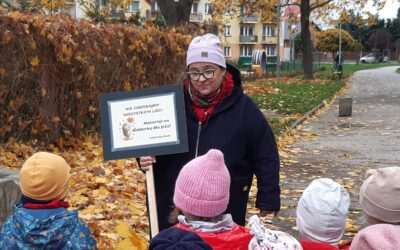 Nie zabierajmy wszystkich liści