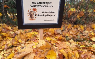 Jeżowe zajęcia biblioteczne