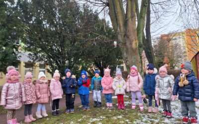 🐦Skrzydlaci przyjaciele🐦